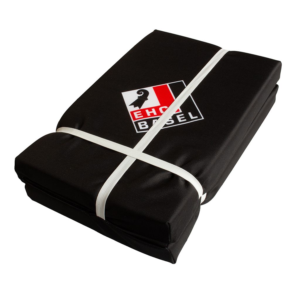EHC Basel Sitzkissen schwarz